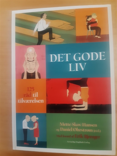 Hansen, Mette Skov: Det goide liv - (BRUGT - VELHOLDT)