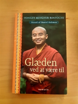 Yongey Mingyur Rinpoche: Glæden ved at være til - (BRUGT - VELHOLDT)